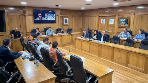 El pleno ordinario del mes de junio arranc&oacute; a las 9:00 horas de este jueves. | FOTO: Marcos Argibay.
