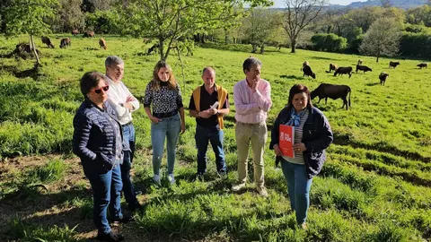 Diputados socialistas de Ourense visitan granjas afectadas por la EHE en Vilardev&oacute;s.