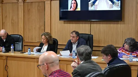 La edila de Deportes, Cristina Campero, compareci&oacute; v&iacute;a telem&aacute;tica. | FOTO: Noelia Caseiro.