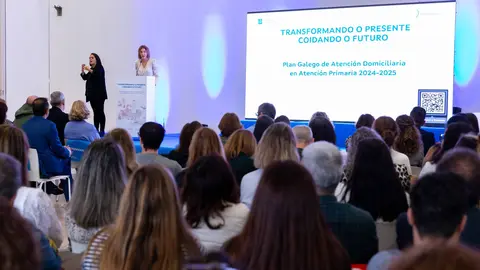 20241015 Xornada atenci&oacute;n domiciliaria2