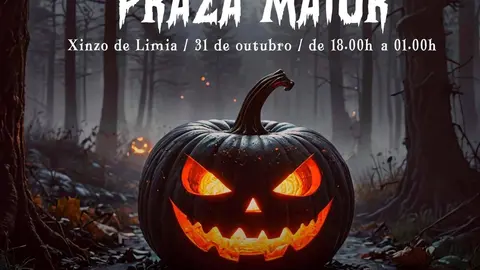Cartel do Sama&iacute;n da Praza Maior.