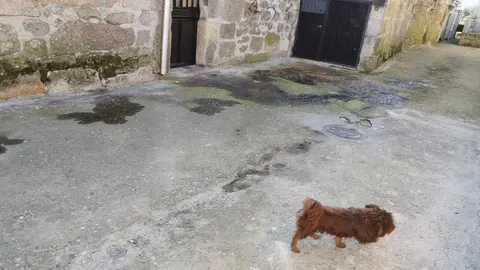 Regueros de orina a las puertas de las viviendas, en el barrio de "Abaixo" de Xinzo de Limia.