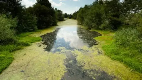 Estado de las aguas en zonas del embalse de As Conchas | FOTO: V&iacute;ctor Luengo, Amigas de la Tierra, ClientEarth.