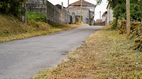 Desbroces en Gud&iacute;n, Xinzo de Limia.
