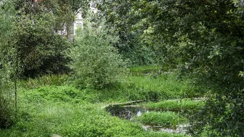 Estado del r&iacute;o Limia a su paso por la villa, en una zona pr&oacute;xima al lugar en el que fue hallado el cuerpo de Javier. | FOTO: Noelia Caseiro.