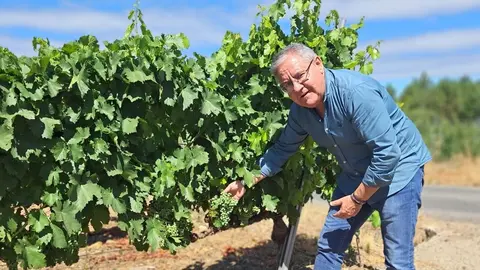 Jos&eacute; Manuel G&oacute;mez "Cazolas" ser&aacute; cofrade de la D.O. Monterrei desde este viernes.