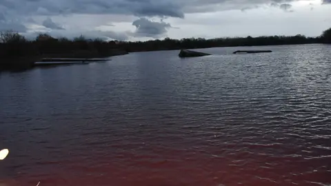 Vertido