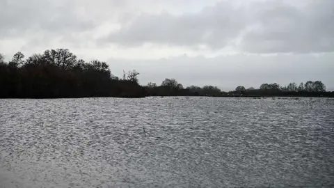 Parcelas en A Limia completamente anegadas por las lluvias de las &uacute;ltimas semanas.