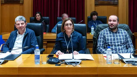 As novas deputadas provinciais, xunto ao resto dos membros do grupo socialista, durante o pleno celebrado nas instalaci&oacute;ns da Deputaci&oacute;n de Ourense.