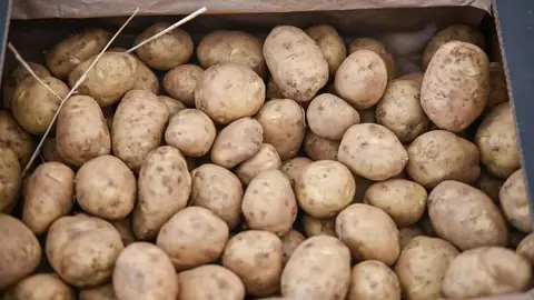 La patata se consolida como el principal activo financiero de la comarca con un peso del 22,7% en la facturaci&oacute;n total.