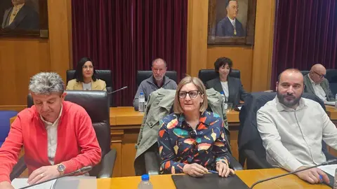 Representantes del Grupo Provincial Socialista durante el debate de las mociones en la sesi&oacute;n plenaria de la Diputaci&oacute;n de Ourense.