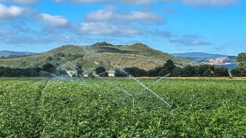 La digitalizaci&oacute;n del regad&iacute;o permite ajustar los aportes h&iacute;dricos a las necesidades reales del cultivo en A Limia. | Foto: Noelia Caseiro.