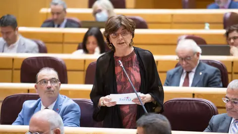 A senadora Carme da Silva M&eacute;ndez durante unha intervenci&oacute;n no Senado