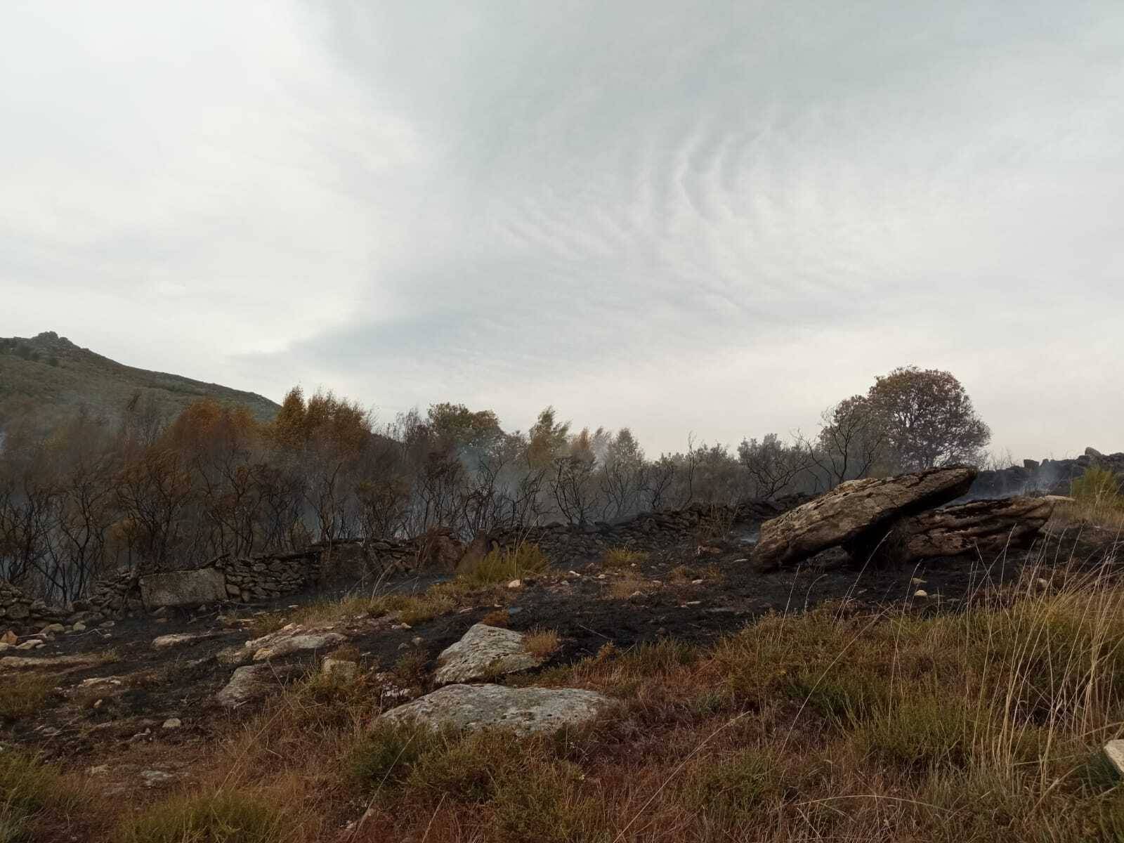 Estado do monte de Gomariz tras o incendio.