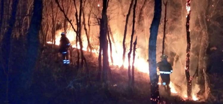 Imaxes incendio en Baltar. BRIF Laza 30.01 (2)