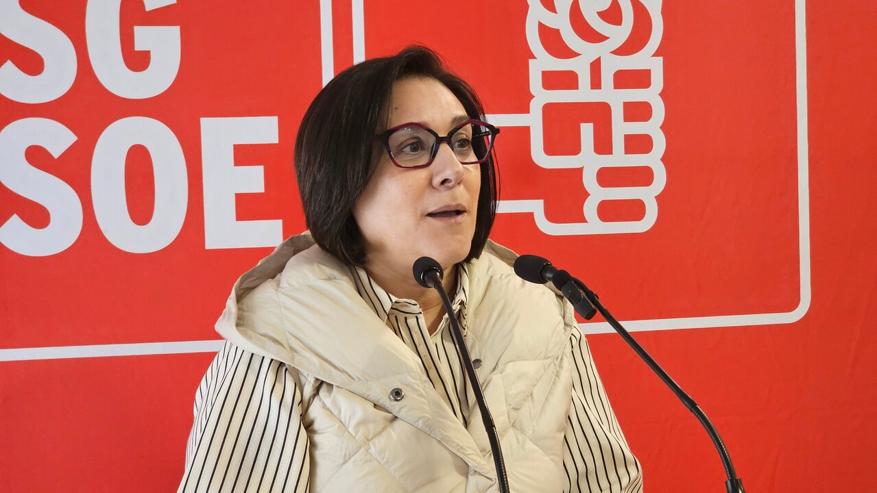 María Nieves Lagares, profesora titular de Ciencia Política de la Universidad de Santiago de Compostela.