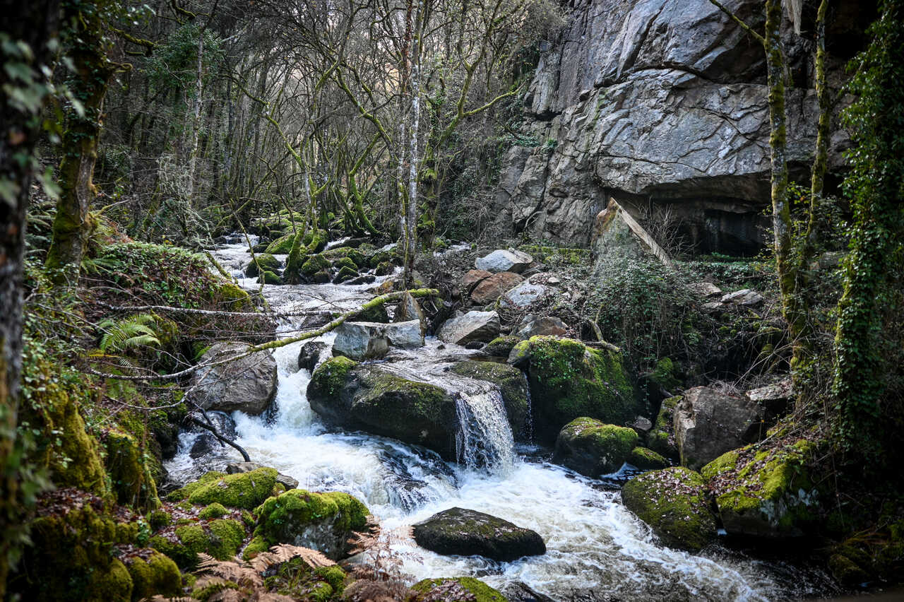 Fervenzas do Fírbeda: Espectaculares saltos de auga que supoñen a principal xoia natural do concello.