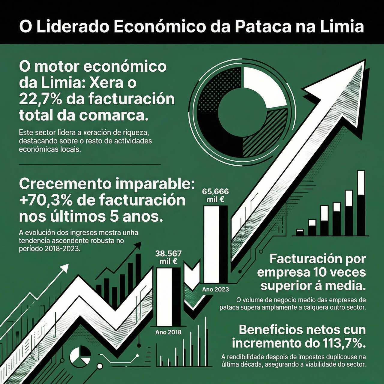 Infografía sobre el impacto económico del sector de la patata en nuestra comarca.